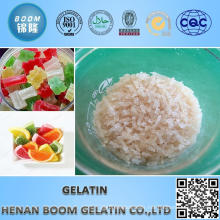 Professional 100% absorbable gelatin sponge with great price